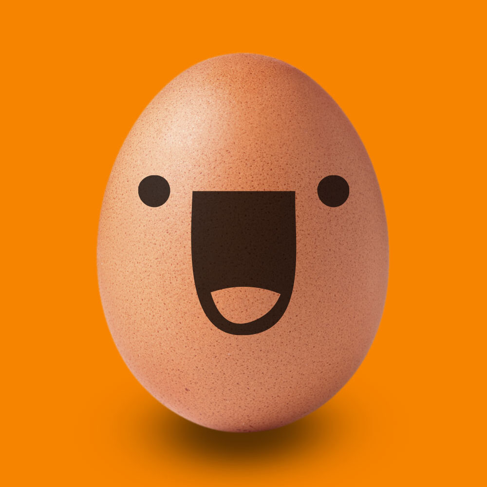 Close up of egg isolated on white background